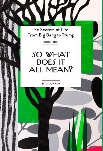 Book cover with abstract tree branches and bold text: "So What Does It All Mean?".