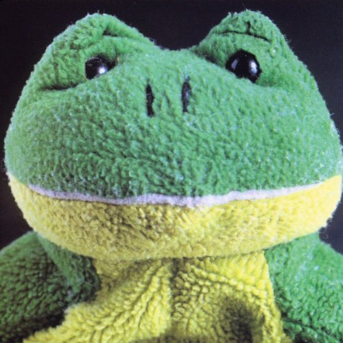 Close-up of a green and yellow plush frog with black eyes.