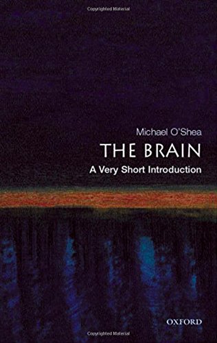 Book cover for The Brain: A Very Short Introduction by Michael O'Shea.