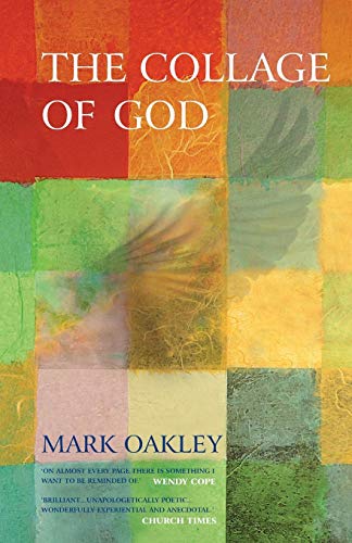 Book cover with a multicolored grid background and a faint image of bird wings.