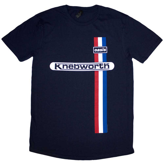Medium, unisex striped t-shirt, likely blue and white vertical stripes.