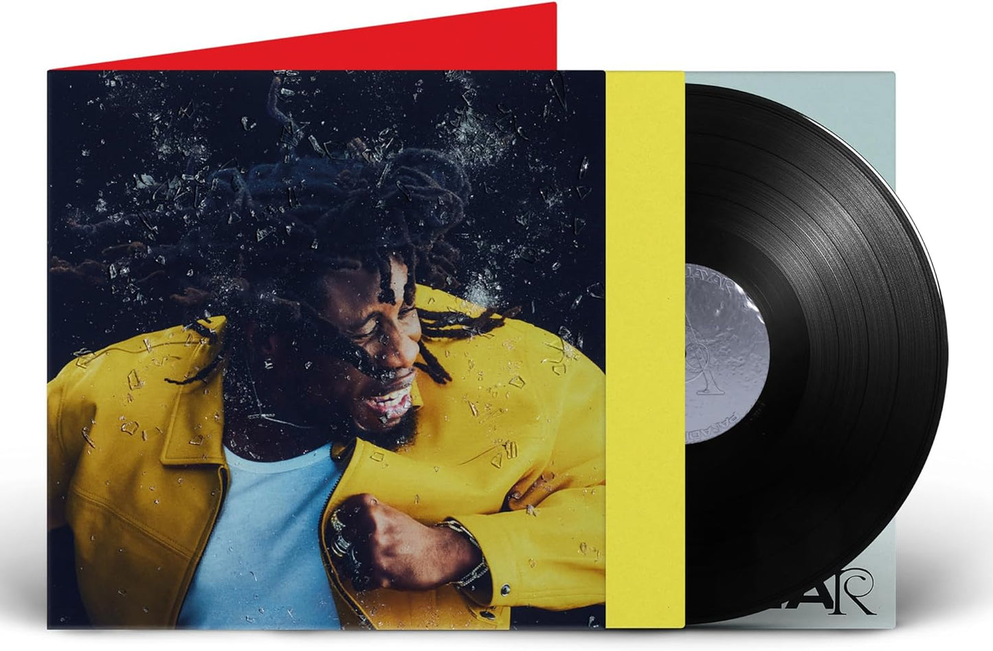Vinyl record with album cover featuring a man with dreadlocks and broken glass.