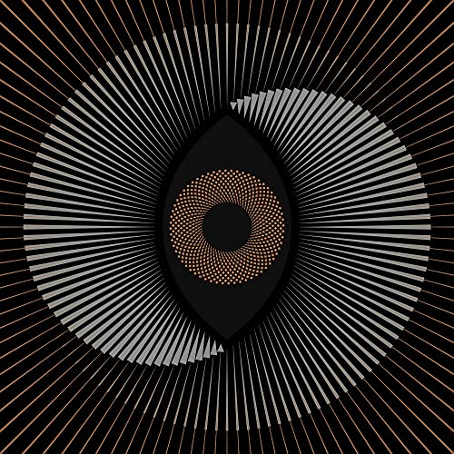 Abstract eye-shaped design with radiating lines in orange and gray.
