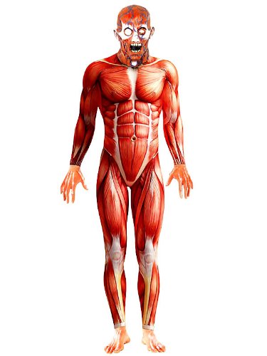 Anatomical illustration of a human body with visible muscles and skull.