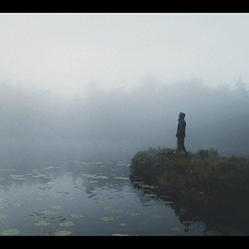 A person stands on a foggy lake shore, surrounded by misty atmosphere and water lilies.