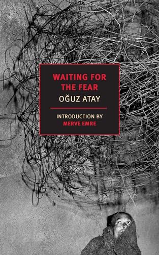 Book cover showing a person looking up at a tangled web of dark wire.