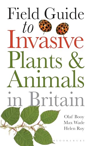 Book cover with title, two spotted beetles, and green leaves on white background.