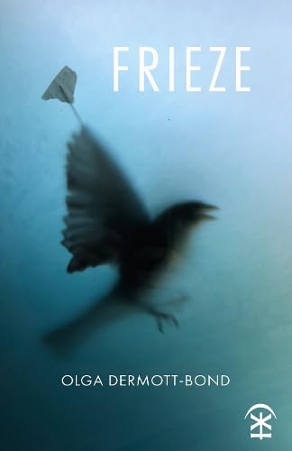 Book cover: blurred bird in flight with a paper airplane.