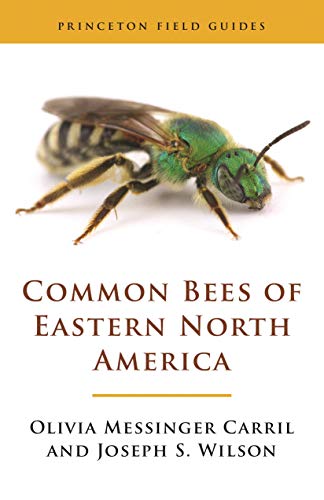 Book cover featuring a detailed, metallic green and brown bee illustration.