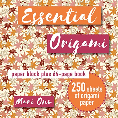Origami kit with patterned paper block and instruction book.