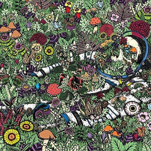 Detailed illustration of a skullBLLB skeleton overgrown with colorful plants and mushrooms.