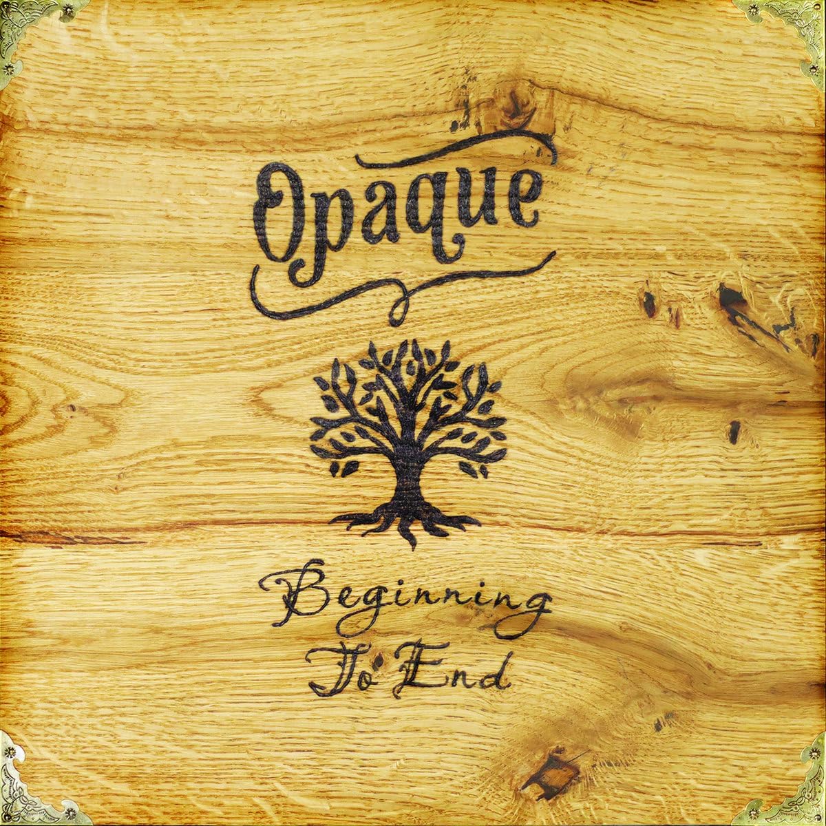 Vinyl record cover for "Opaque - Beginning To End" with tree design.