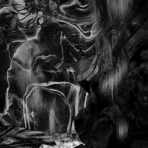 Abstract black and white album cover with swirling, distorted figures.