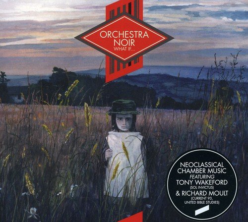 "Album cover featuring a child in a field with red logo and text overlay."