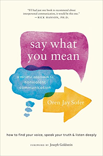 Book cover with colorful speech bubbles and title “Say What You Mean.”