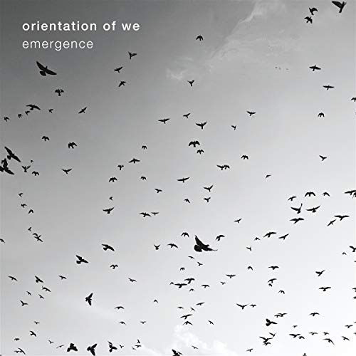 Album cover with a flock of birds flying in a cloudy sky.