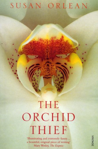 Book cover featuring a close-up of a ghost orchid with text.