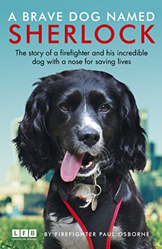 Book cover featuring a black, floppy-eared dog with a red collar.