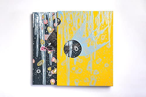 Book cover with abstract illustration of a bird and falling objects.