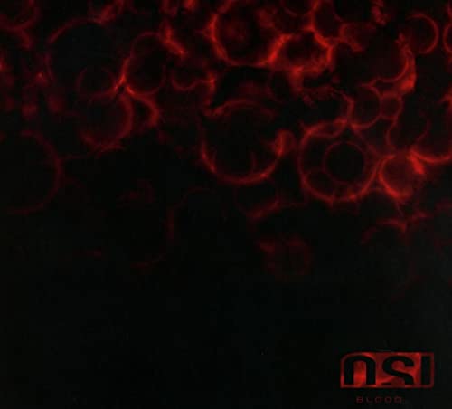 Dark red abstract image with "OSI Blood" logo at the bottom.
