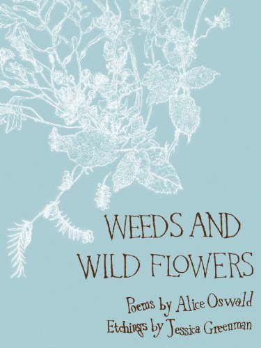 Book cover with white botanical line art on a light blue background.