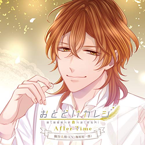Anime-style CD cover featuring a smiling man with brown hair and golden eyes.