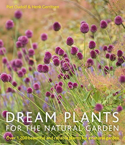 Book cover featuring purple allium flowers in a green garden setting.