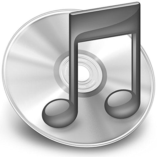 Silver disc with a black musical note symbol on top.