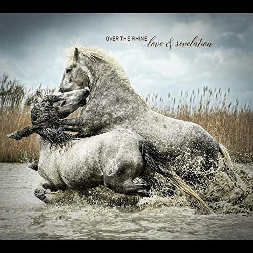 Album cover: two gray horses entangled in shallow, splashing water.