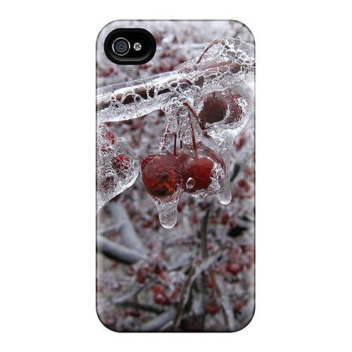 Ice-covered cherries and berries on a branch, close-up view.