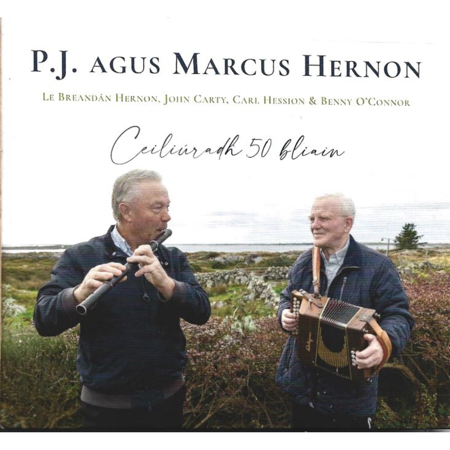 Two men playing a flute and accordion outdoors in a rural landscape.