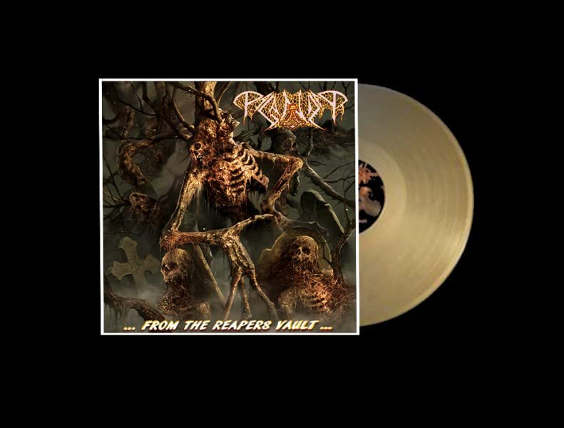 Paganizer vinyl record cover with a skeletal figure in a graveyard.