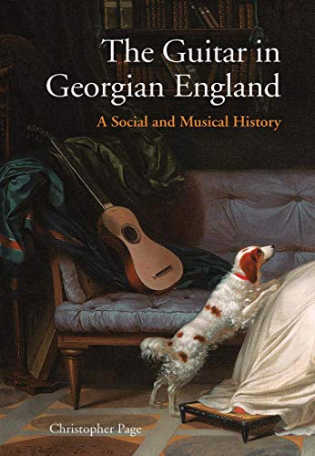 Book cover depicting a guitar, dog, and draped fabric in a room.