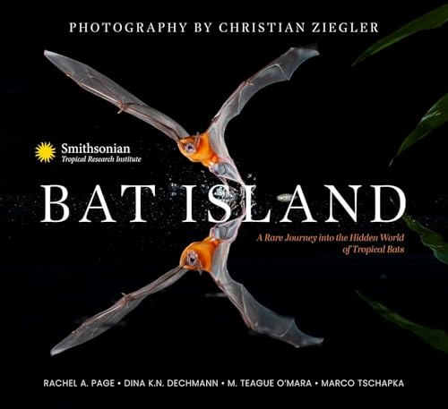 Book cover featuring two orange bats with outstretched wings against a black background.