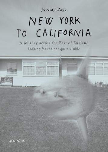 Book cover: grayscale image of a house with a blurred figure.
