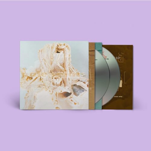 Pale Saints “In Ribbons” 30th Anniversary CD with abstract cover art.