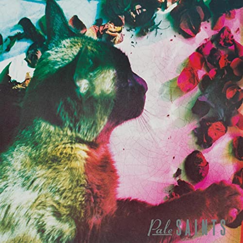 Album cover featuring a cat’s face surrounded by blurred roses.