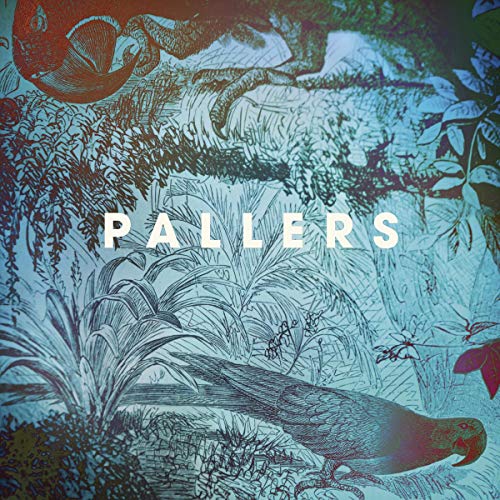 CD cover for Pallers’ “The Sea Of Memories” with bird illustration.