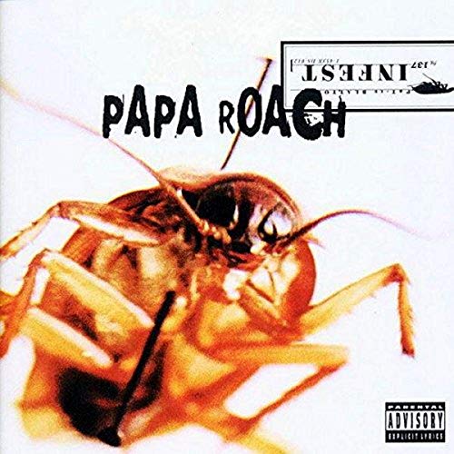 Papa Roach “Infest” vinyl album cover featuring a large, close-up cockroach.