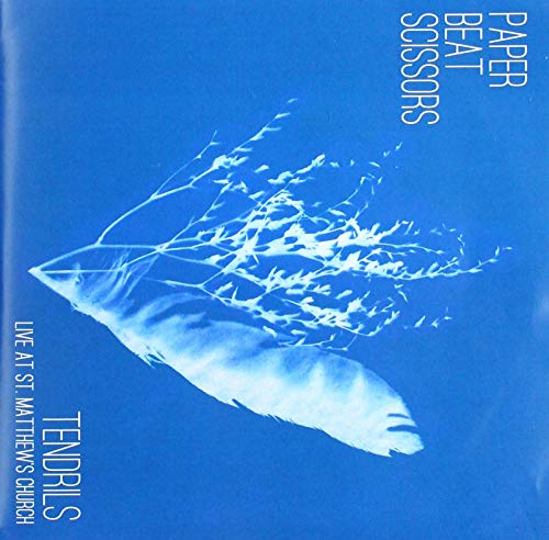 Blue album cover featuring a white feather and branch silhouette with white text.