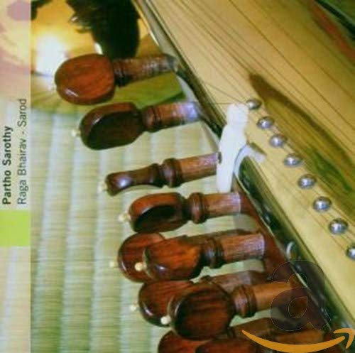 Close-up of a sarod, a North Indian stringed instrument, with red and yellow details.