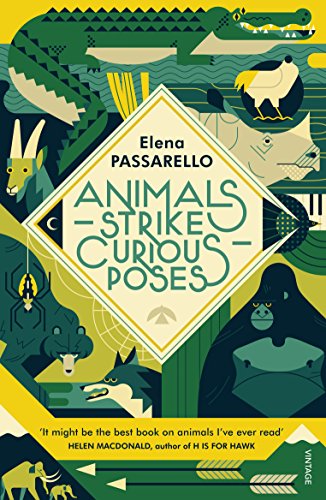 Book cover with illustrated animals in geometric green and beige designs.