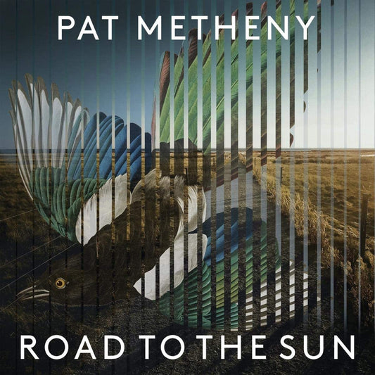 "Album cover with bird image and text 'Pat Metheny - Road to the Sun'."