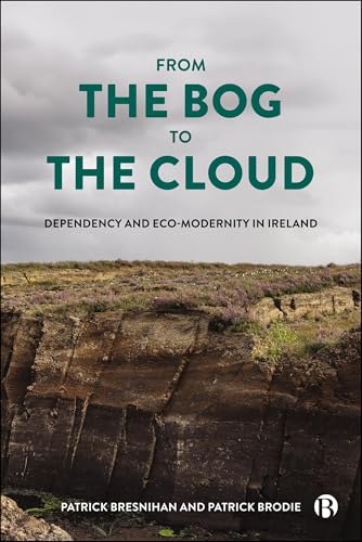 Book cover showing a dark, layered peat bog landscape under a cloudy sky.