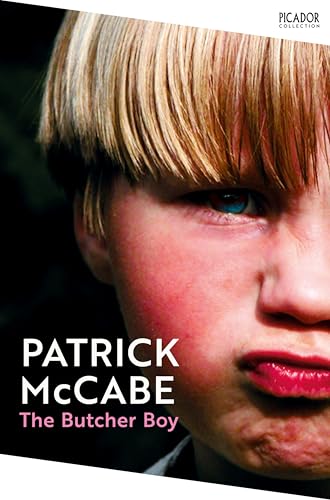 Close-up of a young boy’s face with short blonde hair, book cover.