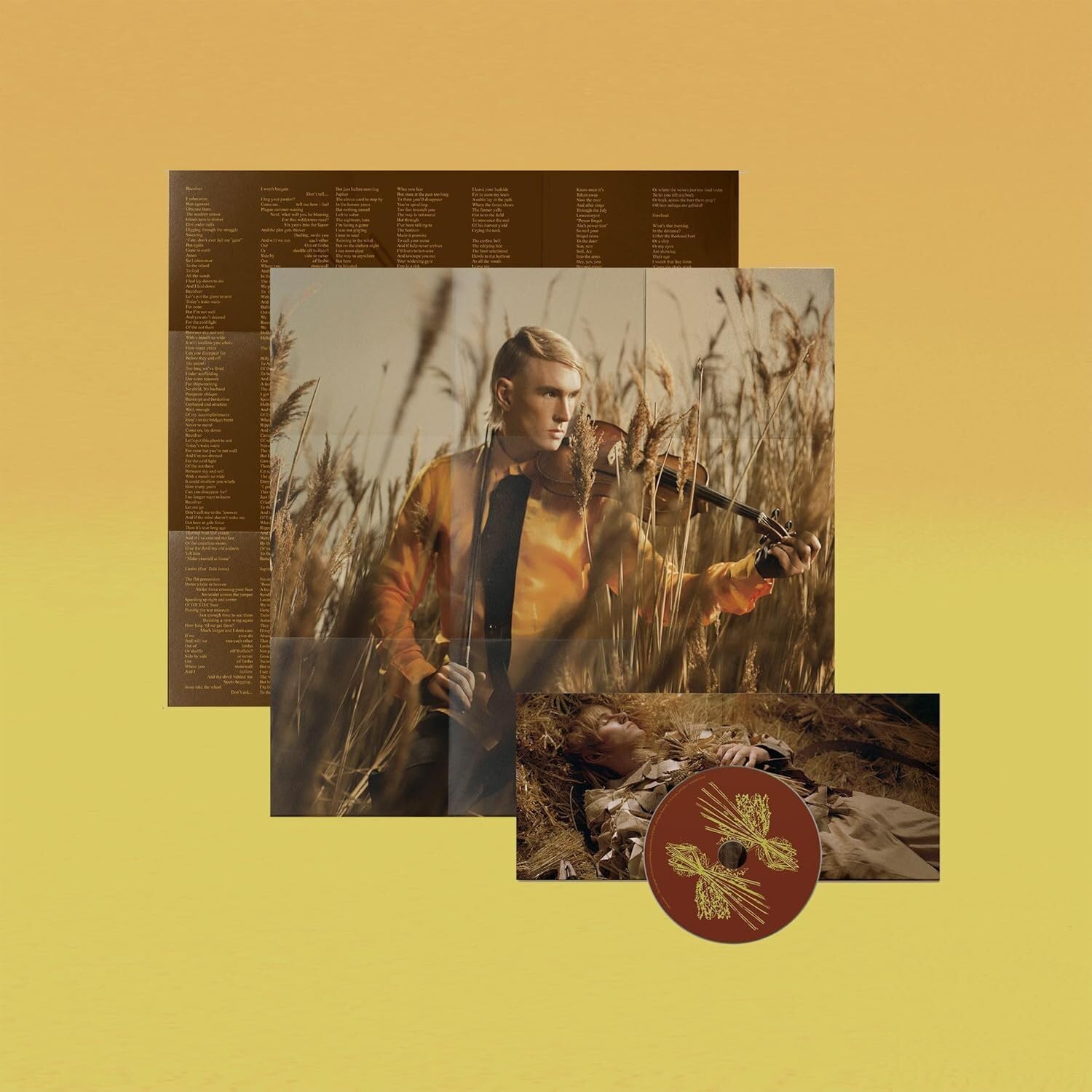 CD cover for Patrick Wolf’s “Crying The Neck” featuring a man with a violin.