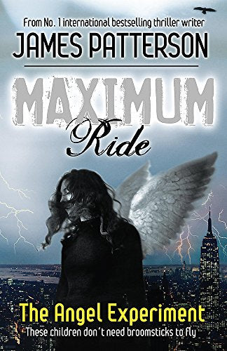 Book cover featuring a winged girl against a stormy city skyline at night.