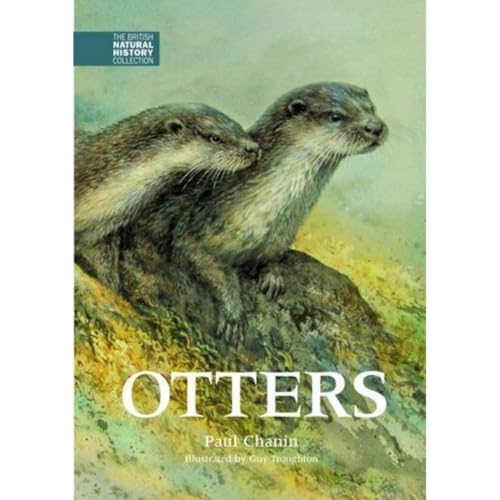 Book cover featuring a watercolor illustration of two otters perched on a mossy rock.