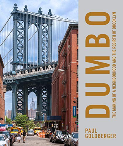 Book cover featuring the Manhattan Bridge and red brick buildings in DUMBO.