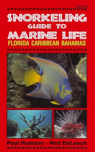Book cover: "Snorkeling Guide to Marine Life" featuring a blue angelfish.
